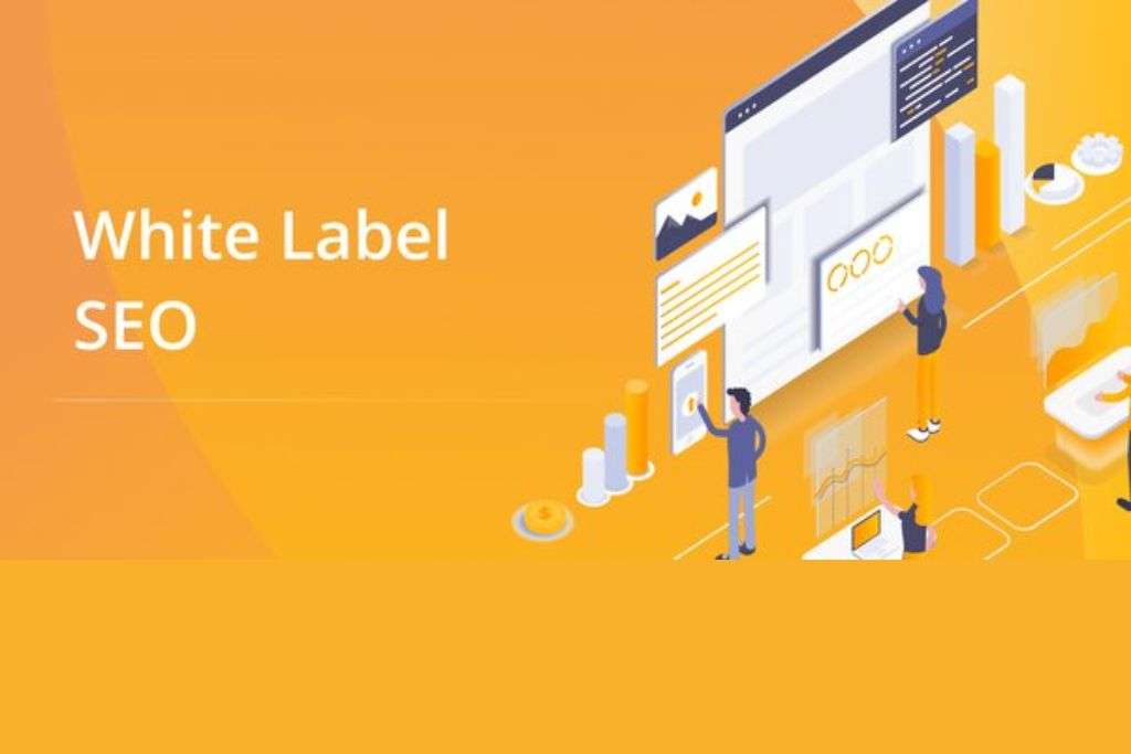 White label backlink | Grace Teches