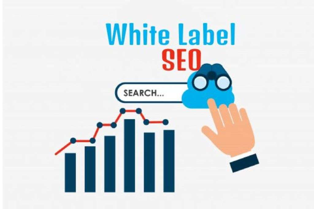 White Label SEO | Grace Teches